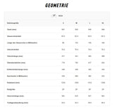 Ghost PATH RIOT CF FULL PARTY Light E-MTB Fully - Rahmengröße L